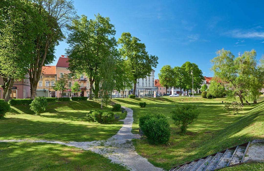 Guest House Studio Apartman Marina - With Jacuzzi, Free Parking, Pet Friendly Karlovac Exterior foto